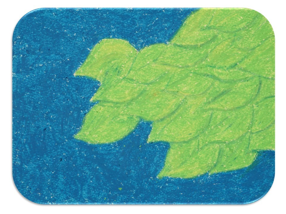 Slide17